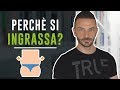 PERCHE' SI INGRASSA? - Nutrizione in pillole