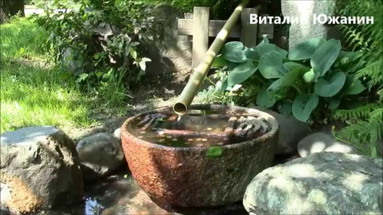 Японский сад в главном ботаническом саду Москва - YouTube