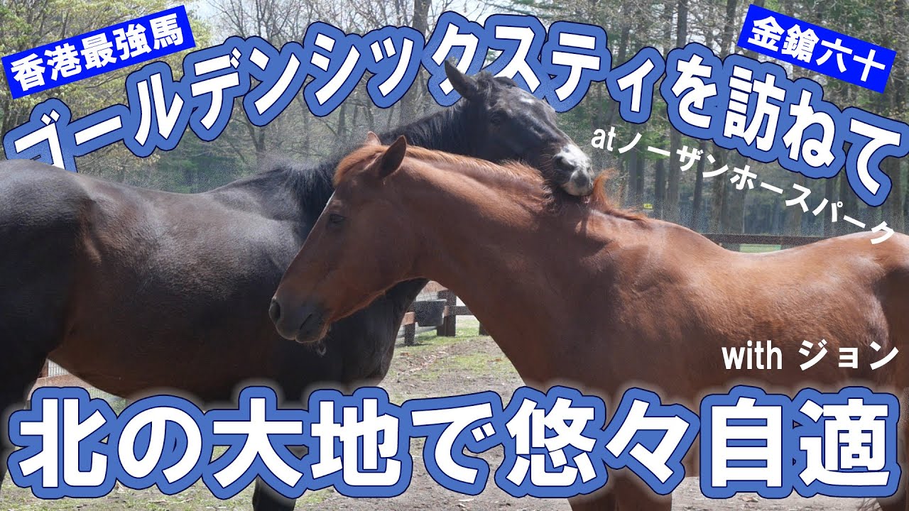 ゴールデンシックスティ　金鎗六十 アバンティ ぬいぐるみ レーシングプログラム Amazon.co.jp: ゴールデンシックスティ 金鎗六十 アバンティ
