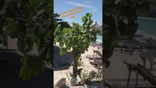 PANTAI TANJUNG AAN LOMBOK SEPI DAN SUNYI SPERTI PULAU MATI AKIBAT PANDEMI 😥