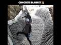 Magic Concrete Blanket  #shorts #viral