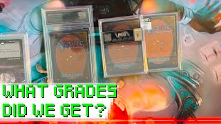 First Look: Collector, Player, and Slim Slabs from PCG! – Cardboard Haul: Ep. 66 | MtG