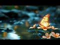 Incredibly Calming Tranquil Water and Soft Piano for Meditation and Peace #spiritualhealing