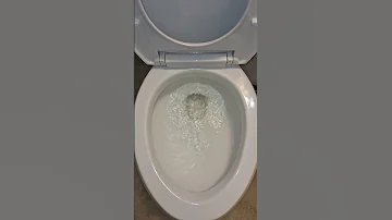 Kohler Memoirs With A Raised Water Level 