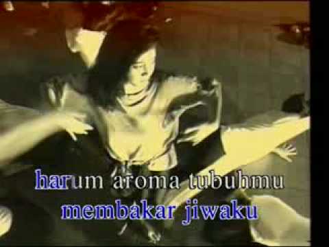 Ebiet G Ade - Apakah Ada Bedanya.wmv
