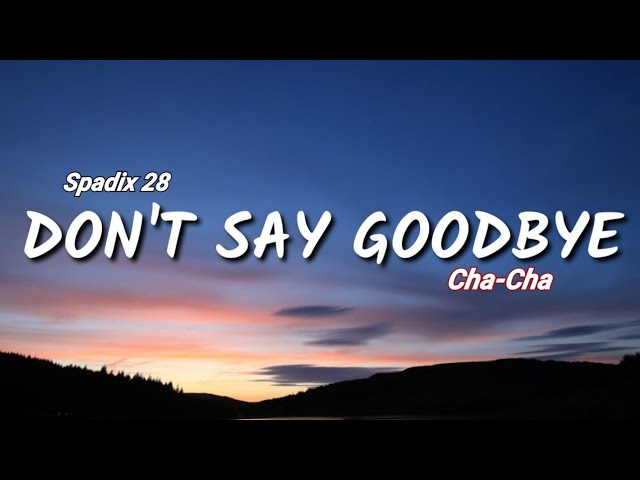 Dont Say GoodBye - Spadix 28 Cha-Cha (Disco Tanah) class=