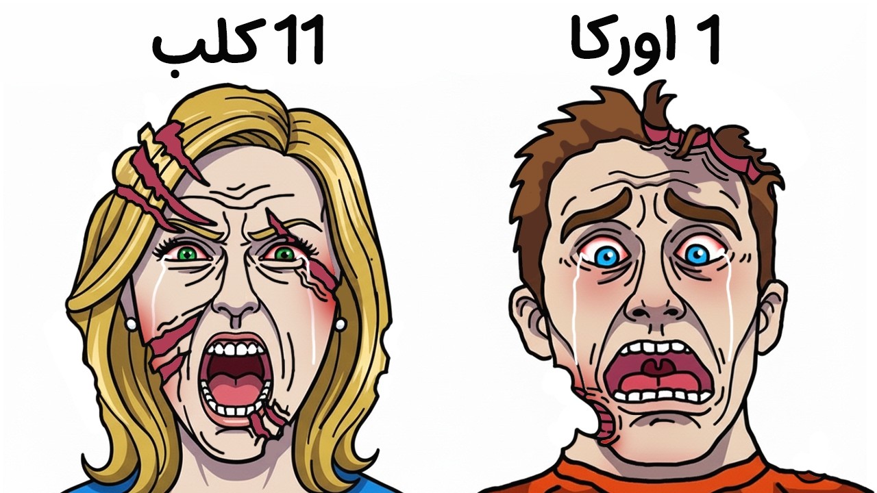 Самые мучительные моменты смерти при нападении животных