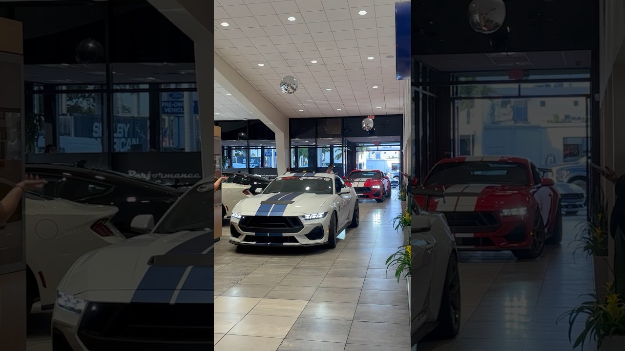 First ever ford mustang s650 gt350s in action! #automobile #cartok #mustang #mustangmach #mustang