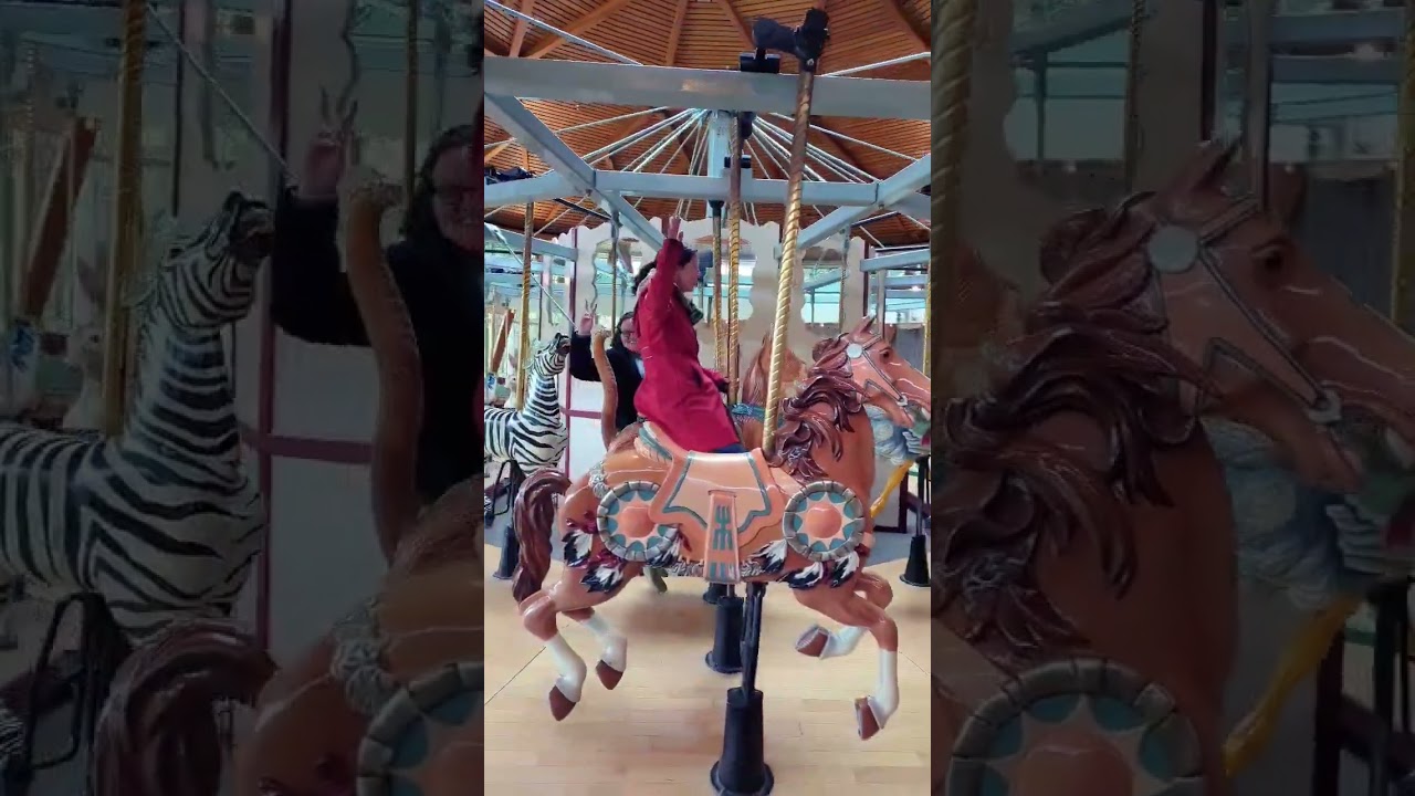 Never too old for a merry-go-round 