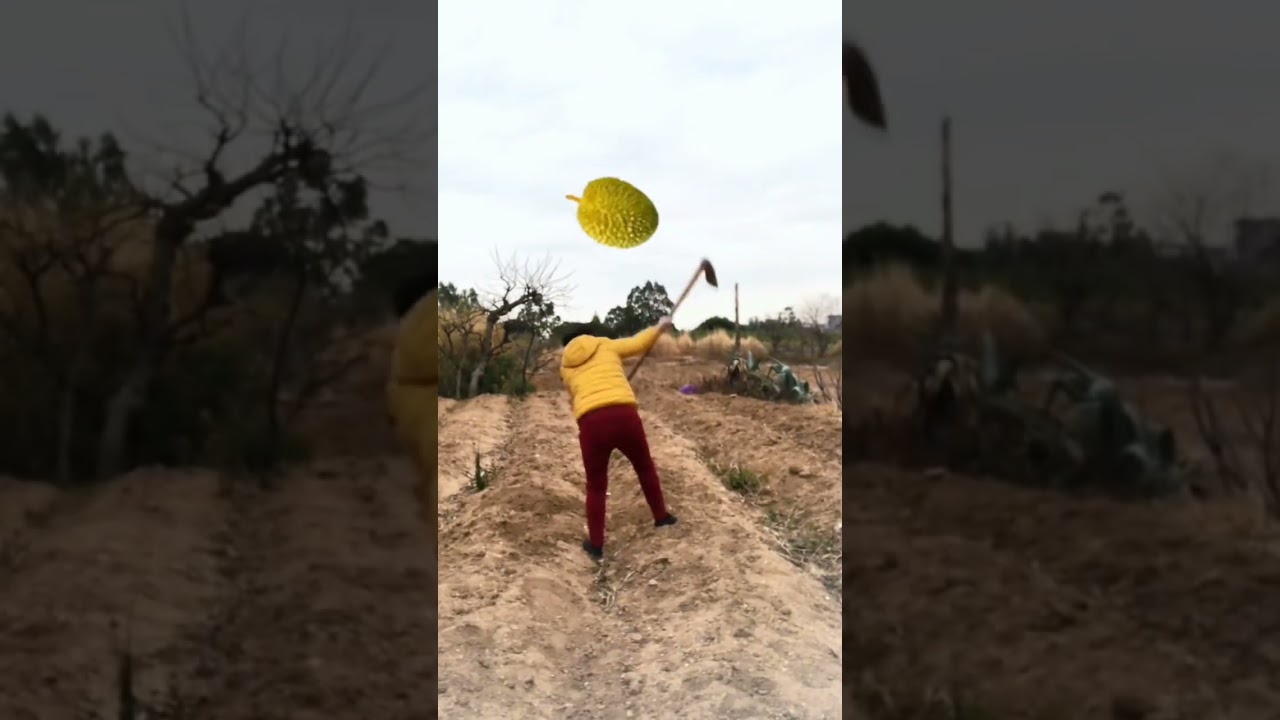 Do not imitate dangerous actions in rural funny videos. Share interesting videos