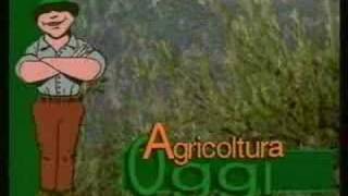 Sigla Agricoltura Oggi