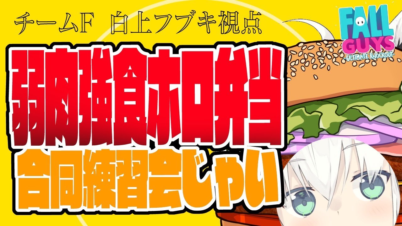 【#YTGW】  Fall Guys大会練習/チーム「弱肉強食ホロ弁当」【ホロライブ/白上フブキ/百鬼あやめ/兎田ぺこら/大神ミオ】