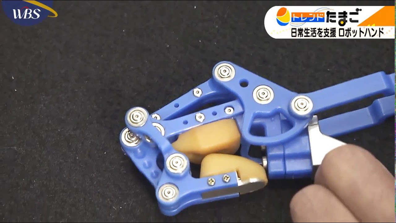 WBS「トレンドたまご」D-Hand 5ST（2021.2.24放映）