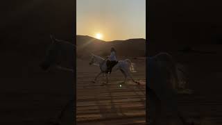 ركض الخيل فيه العزة #shorts