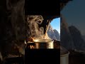Cave Brew: Making Tea in the Mountains | Full viral Awesome video #asmr #relaxing #shorts