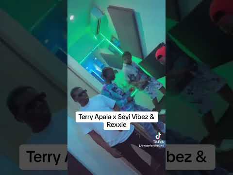 Seyi Vibez, Terry