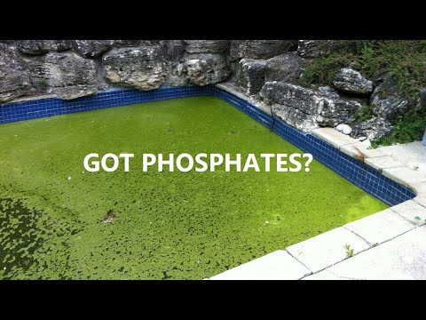 Phosphates In Pool Water