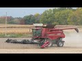 Soybean Harvest 2020 | Case IH 7230 Harvesting Soybeans | Ontario, Canada