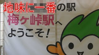 【駅に行って来た】JR西日本山陰本線梅ヶ峠駅は地味に一番のことがあるらしい!?