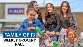 BIG Family ALDI Grocery Haul: BEST Finds, Recipe and Shopping List
