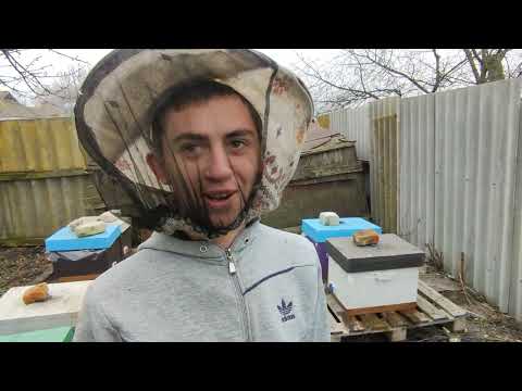Первые операции на