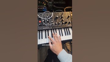 how to create 808s with a Moog Grandmother Synthesizer @MoogSynthesizers #moog #synth #dfam #m32