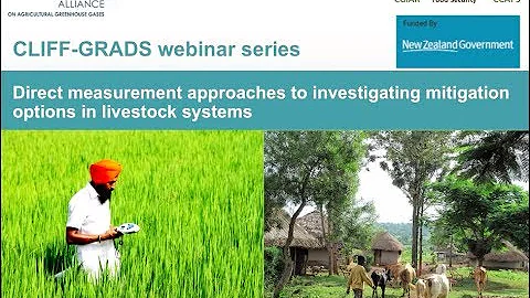 Direct measurement approaches to investigating mitigation options in livestock systems