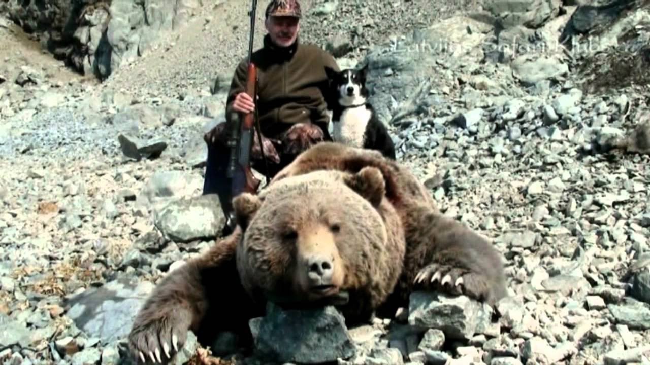 Охота на медведя видео 2023. Медведь людоед Магадан. Дагестанский медведь.