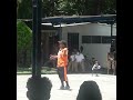 la coqueta