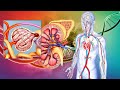 Deep sleep healing full body repair and regeneration at 432hz positive energy flow