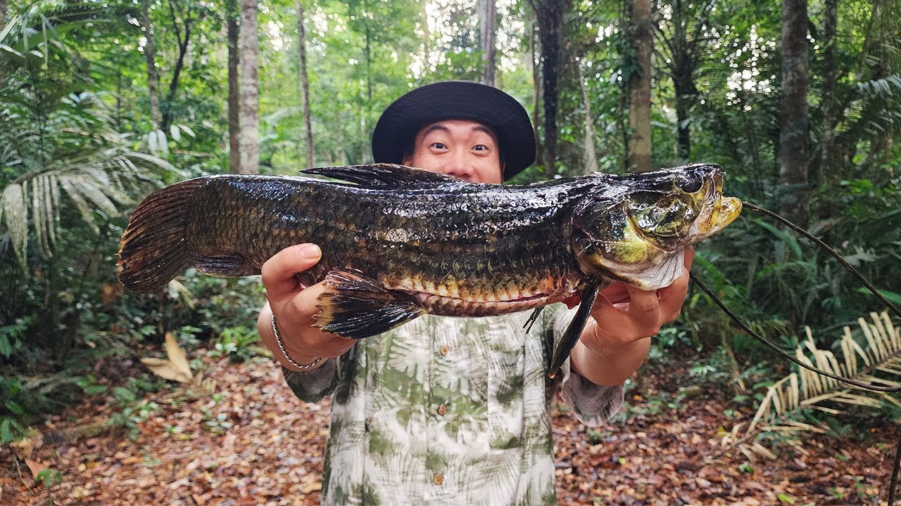 제발 살려주세요.. 차로 무려 40시간 들어간 아마존 깊은 정글에서 살아남아 보겠습니다