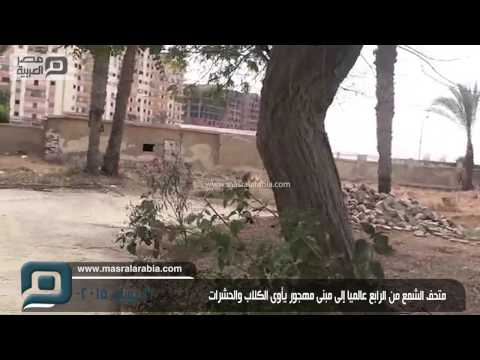 مصر العربية متحف الشمع من الرابع عالميا إلى مبنى مهجور يأوى الكلاب والحشرات