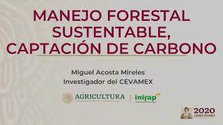 Captura de carbono forestal