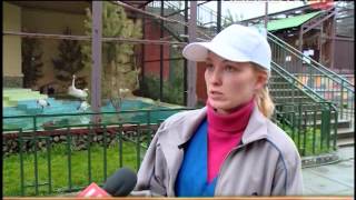 Орнитологи Екатеринбурга умоляют горожан не… Орнитологи Екатеринбурга умоляют горожан не…