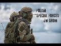 Polish Special Forces - JW GROM