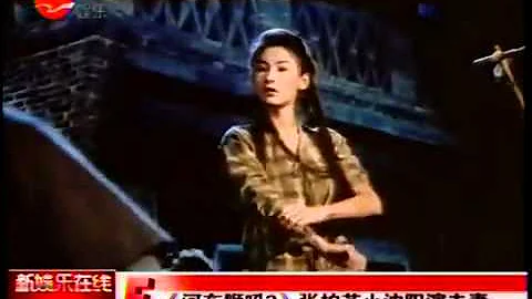 《河東獅吼2》張柏芝小瀋陽演夫妻 - 天天要聞