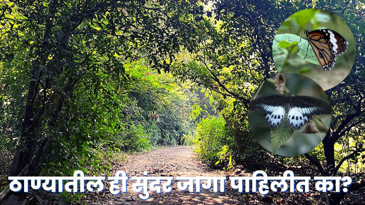 ठाण्यातील ही सुंदर जागा पाहिलीत का ? | Unseen places in thane | 