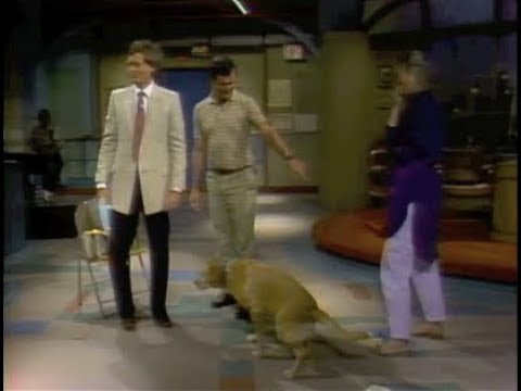 Stupid Pet Tricks On Letterman August 10 1982 