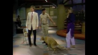 Stupid Pet Tricks on Letterman, August 10, 1982