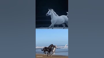 قرآن كريم والعاديات ....الخيل العربي أصيل رمز العروبه والاصاله..