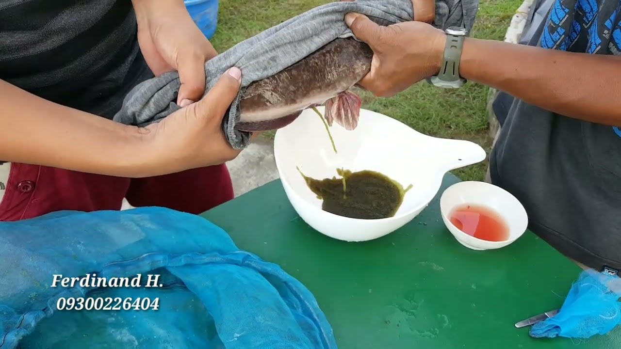 BFAR FREE SEMINAR ABOUT HITO FARMING