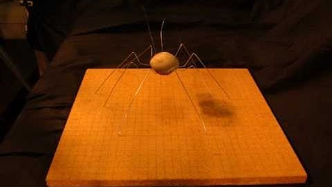 Mechanical Advantage and Locomotion or How to Build a Walking Machine.wmv