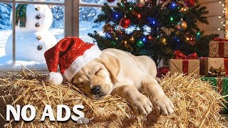 15 Hours Deep Dog Relaxing Music for Separation Anxiety 🐾 432Hz Calming Sounds - Helped 4M Dogs