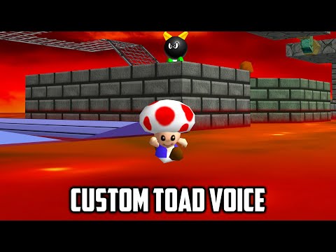Super Mario 64 PC Port Custom Toad Voice
