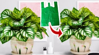 DIY Cara Membuat Tanaman dari Plastik Kresek | How to make Plant from Plastic Bag