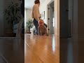 #cute#funny#baby#viral#trending #viral #trending #short