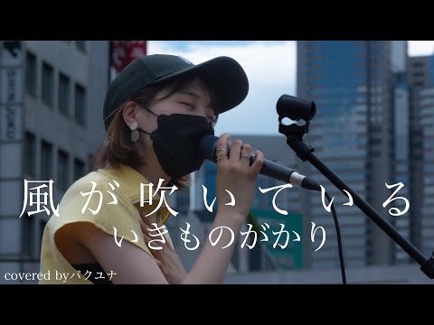 『風が吹いている』いきものがかり パクユナ 新宿駅