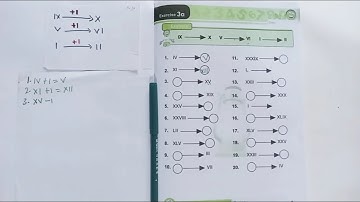 SOLVED! Exercise 3a, page7, Book4, Lantern quantitative reasoning
