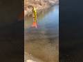Fishing#fishinglure
