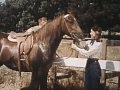 The Cisco Kid - Quarter Horse, Full Length Episode, Classic Western TV show